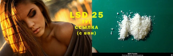 ПСИЛОЦИБИНОВЫЕ ГРИБЫ Горняк