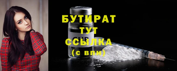 ПСИЛОЦИБИНОВЫЕ ГРИБЫ Горняк