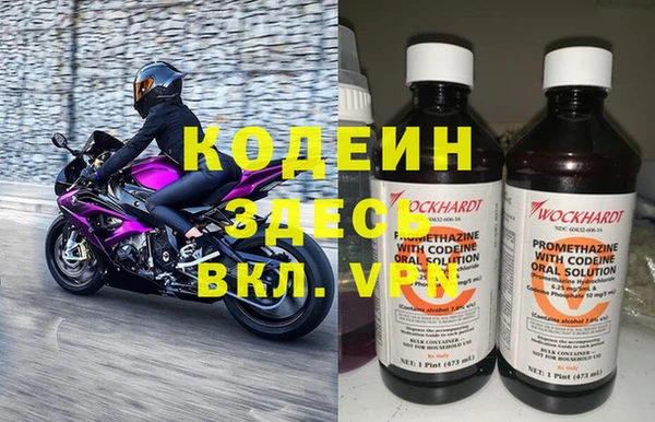 ПСИЛОЦИБИНОВЫЕ ГРИБЫ Горняк