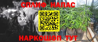 mdpv Будённовск