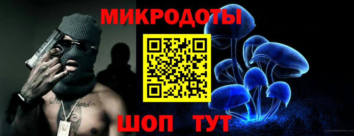 Псилоцибиновые грибы мицелий Звенигород