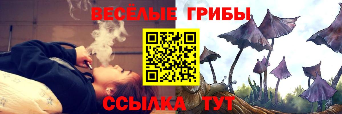 Звенигород  Псилоцибиновые грибы Psilocybe  Вход с VPN  дарнет шоп  Псилоцибиновые грибы прущие грибы 